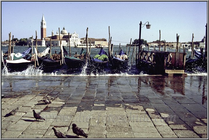 Gondeln in Venedig am Steinufer.jpg - Na ja, auch die klassische Venedig- Ansicht darf hier natürlich nicht fehlen. Es hat übrigens Spaß gemacht, da zu stehen und zu beobachten, wie ahnungslose vorbei wandernde Besucher eine kleine frische Prise der Adria geniessen durften...
